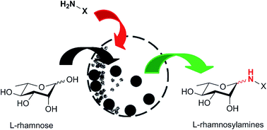 Graphical abstract: Efficient synthesis of glycosylamines in solventless conditions promoted by mechanical milling