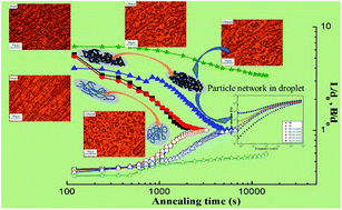 Graphical abstract: Nanoparticle retarded shape relaxation of dispersed droplets in polymer blends: an understanding from the viewpoint of molecular movement