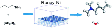 Graphical abstract: RANEY® nickel-catalyzed reductive N-methylation of amines with paraformaldehyde: theoretical and experimental study