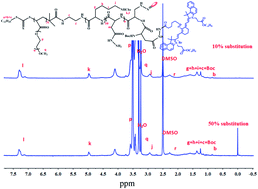 Graphical abstract: pH-responsive amphiphilic block copolymer prodrug conjugated near infrared fluorescence probe