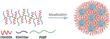 Graphical abstract: Synthesis of amphiphilic polyaspartamide derivatives and construction of reverse micelles