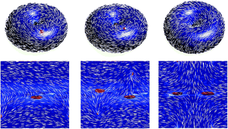 Graphical abstract: Defect-free states and disclinations in toroidal nematics