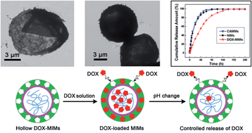 Graphical abstract: Molecularly imprinted layer-coated hollow polysaccharide microcapsules toward gate-controlled release of water-soluble drugs
