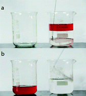 Graphical abstract: A fast and convenient cellulose hydrogel-coated colander for high-efficiency oil–water separation