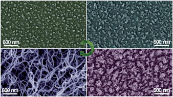 Graphical abstract: Solvent-controlled growth of silicone nanofilaments