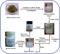 Graphical abstract: Surfactant-induced coagulation of agarose from aqueous extract of Gracilaria dura seaweed as an energy-efficient alternative to the conventional freeze–thaw process
