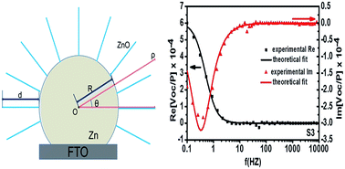 Graphical abstract: Photoelectrochemical study on the electron transport and recombination kinetics in an urchin-like Zn/ZnO hierarchical nanostructure