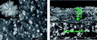 Graphical abstract: Retracted Article: Investigation on corrosion protection and mechanical performance of minerals substituted hydroxyapatite coating on HELCDEB-treated titanium using pulsed electrodeposition method