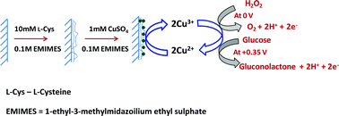 Graphical abstract: Enzyme-free selective determination of H2O2 and glucose using functionalized CuNP-modified graphite electrode in room temperature ionic liquid medium