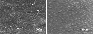 Graphical abstract: Fabrication and characterization of flexible silk fibroin films reinforced with graphene oxide for biomedical applications
