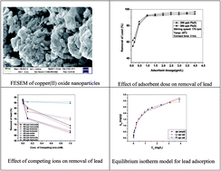 Graphical abstract: CuO nanorods: a potential and efficient adsorbent in water purification