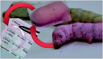 Graphical abstract: Bio-doping of regenerated silk fibroin solution and films: a green route for biomanufacturing