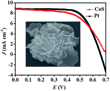 Graphical abstract: Organic molecule controlled synthesis of three-dimensional rhododendron-like cobalt sulfide hierarchitectures as counter electrodes for dye-sensitized solar cells