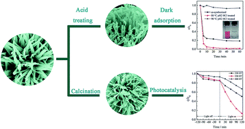 Graphical abstract: A facile synthesis of hierarchical TiO2 for dye adsorption and photocatalysis