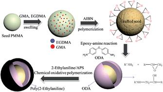 Graphical abstract: Core–shell structured poly(2-ethylaniline) coated crosslinked poly(methyl methacrylate) nanoparticles by graft polymerization and their electrorheology