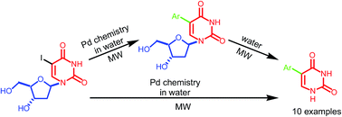 Graphical abstract: Original access to 5-aryluracils from 5-iodo-2′-deoxyuridine via a microwave assisted Suzuki-Miyaura cross-coupling/deglycosylation sequence in pure water