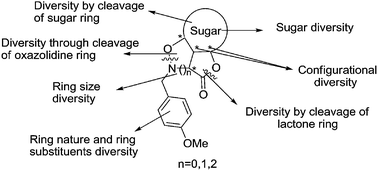 Graphical abstract: Linearization of carbohydrate derived polycyclic frameworks