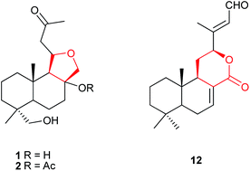 Graphical abstract: Labdane-type diterpenoids from Croton laevigatus