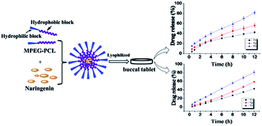 Graphical abstract: Preparation and in vitro release of buccal tablets of naringenin-loaded MPEG-PCL nanoparticles