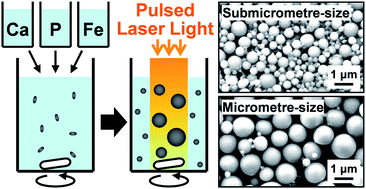 Graphical abstract: A physicochemical process for fabricating submicrometre calcium iron phosphate spheres