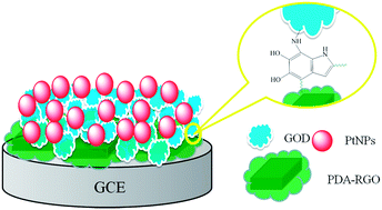 Graphical abstract: An electrochemical glucose biosensor based on graphene composites: use of dopamine as reducing monomer and as site for covalent immobilization of enzyme