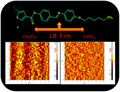 Graphical abstract: Studies on the Langmuir–Blodgett films of polythiophene containing a mesogenic side chain