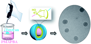 Graphical abstract: Fabrication of boronic acid-functionalized nanoparticles via boronic acid–diol complexation for drug delivery