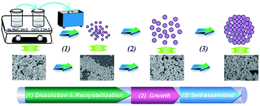 Graphical abstract: Formation mechanism and optical properties of CdMoO4 and CdMoO4:Ln3+ (Ln = Pr, Sm, Eu, Dy, Ho and Er) microspheres synthesized via a facile sonochemical route