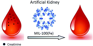 Graphical abstract: Metal–organic framework MIL-100(Fe) for artificial kidney application