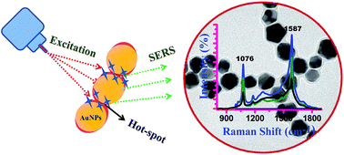 Graphical abstract: Formation of nanogap Au–polysilsesquioxane 1D chains for SERS application