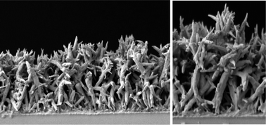 Graphical abstract: Sticky superhydrophobic hard nanofibers from soft matter