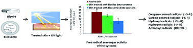 Graphical abstract: Bicelles and bicosomes as free radical scavengers in the skin