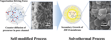 Graphical abstract: Self-modified fabrication of inner skin ZIF-8 tubular membranes by a counter diffusion assisted secondary growth method