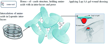 Graphical abstract: Layered silicate clay functionalized with amino acids: wound healing application