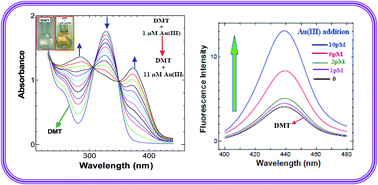 Graphical abstract: Economically viable sensitive and selective luminescent sensor for the determination of Au(iii) in environmental samples