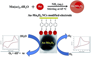 Graphical abstract: Bifunctional gold–manganese oxide nanocomposites: benign electrocatalysts toward water oxidation and oxygen reduction