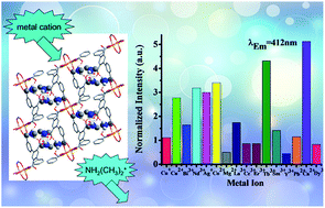 Graphical abstract: Luminescent group 12 metal tetracarboxylate networks as probe for metal ions