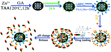 Graphical abstract: pH-responsive drug release from porous zinc sulfide nanospheres based on coordination bonding