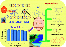 Graphical abstract: Nanoengineered CdSe quantum dot–montmorillonite composites: an efficient photocatalyst under visible light irradiation