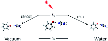 Graphical abstract: Solvent effect on electron and proton transfer in the excited state of a hydrogen bonded phenol–imidazole complex