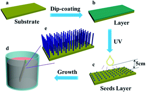 Graphical abstract: Controllable fabrication of one-dimensional ZnO nanoarrays and their application in constructing silver trap structures