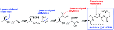 Graphical abstract: Chemoenzymatic synthesis of the macrolide antibiotic (−)-A26771B