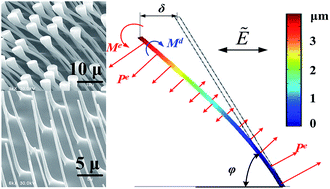 Graphical abstract: Bio-inspired directional high-aspect-ratio nanopillars: fabrication and actuation