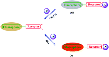 Graphical abstract: The switching of a Rhenium(i) complex from turn-off to turn-on sensor system through protein binding