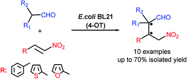 Graphical abstract: Synthesis of γ-nitroaldehydes containing quaternary carbon in the α-position using a 4-oxalocrotonate tautomerase whole-cell biocatalyst