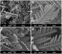 Graphical abstract: Ni(OH)2@Cu dendrite structure for highly sensitive glucose determination