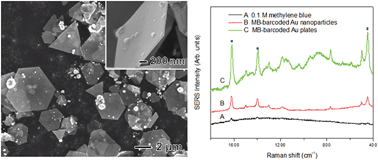 Graphical abstract: Mild temperature synthesis of gold nanoplates using polyethyleneimine and their improved surface enhanced Raman signal