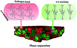 Graphical abstract: Nanoscale phase separation in the bulk heterojunction structure of perylene bisimide and porphyrin by controlling intermolecular interactions