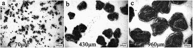 Graphical abstract: Study of different-sized sulfur-free expandable graphite on morphology and properties of water-blown semi-rigid polyurethane foams