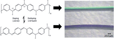 Graphical abstract: Development and characterisation of switchable polyaniline-functionalised flow-through capillary monoliths